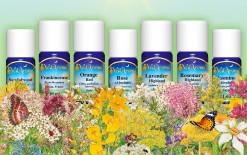 Aromterapi är viktig del av ayurvedisk läkekonst Aromterapi