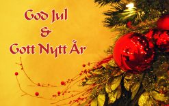 Vi önskar er en god jul och ett gott nytt år God Jul & Gott Nytt År
