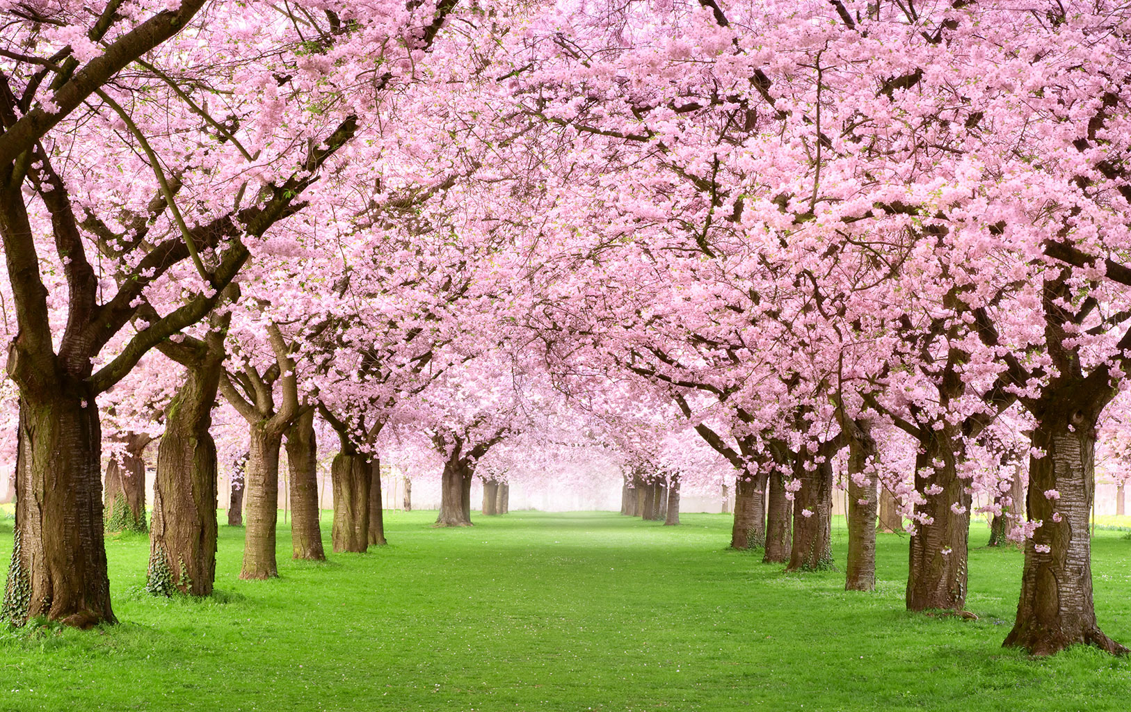 Ayurvediska tips för våren