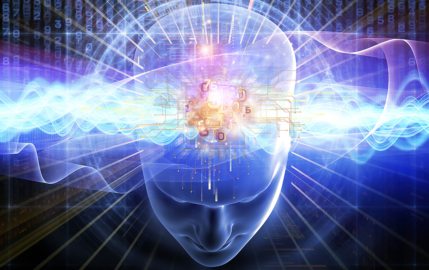 Bli smartare med ayurvediska örter