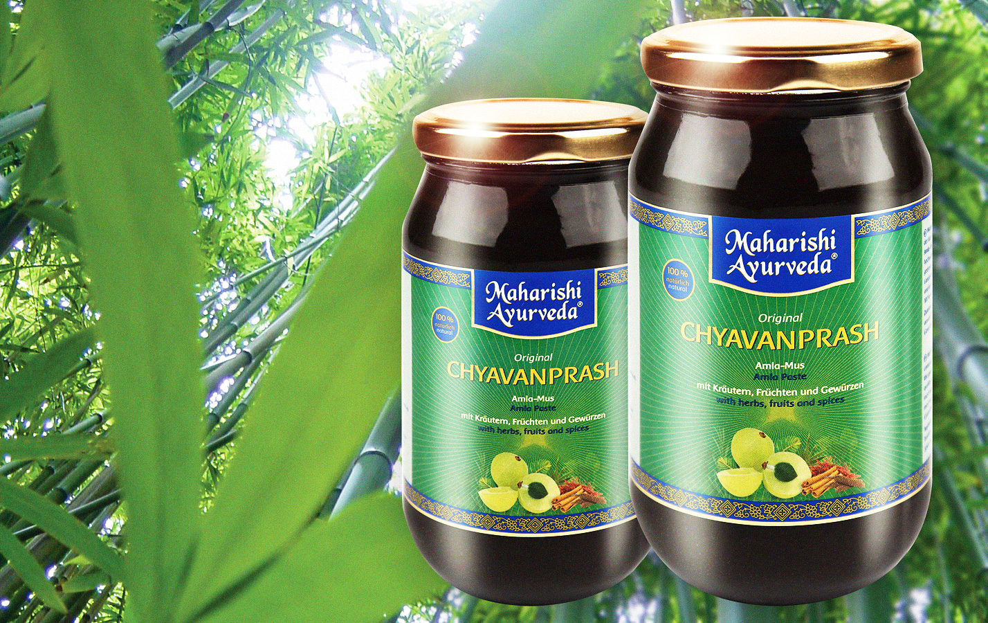 Amalaki – en av de bästa och starkaste av de ayurvediska örterna