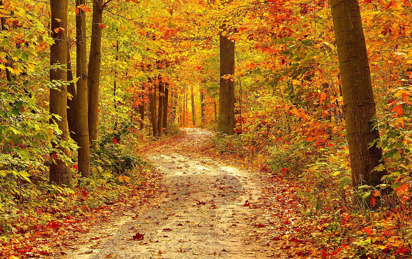 ayurvediska råd inför hösten